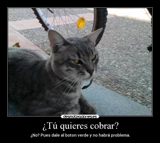 ¿Tú quieres cobrar? - ¿No? Pues dale al boton verde y no habrá problema.