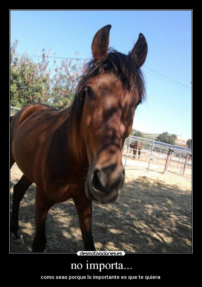 no importa... - como seas porque lo importante es que te quiera 