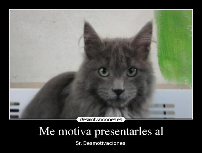 Me motiva presentarles al -