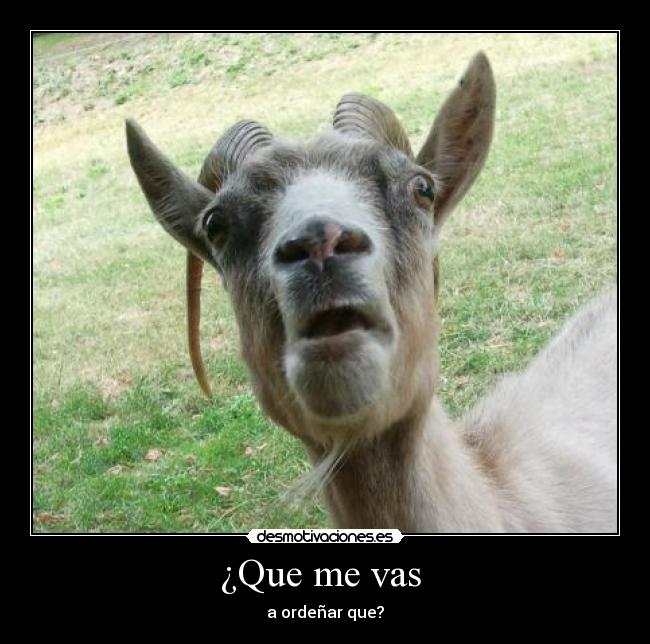 ¿Que me vas -