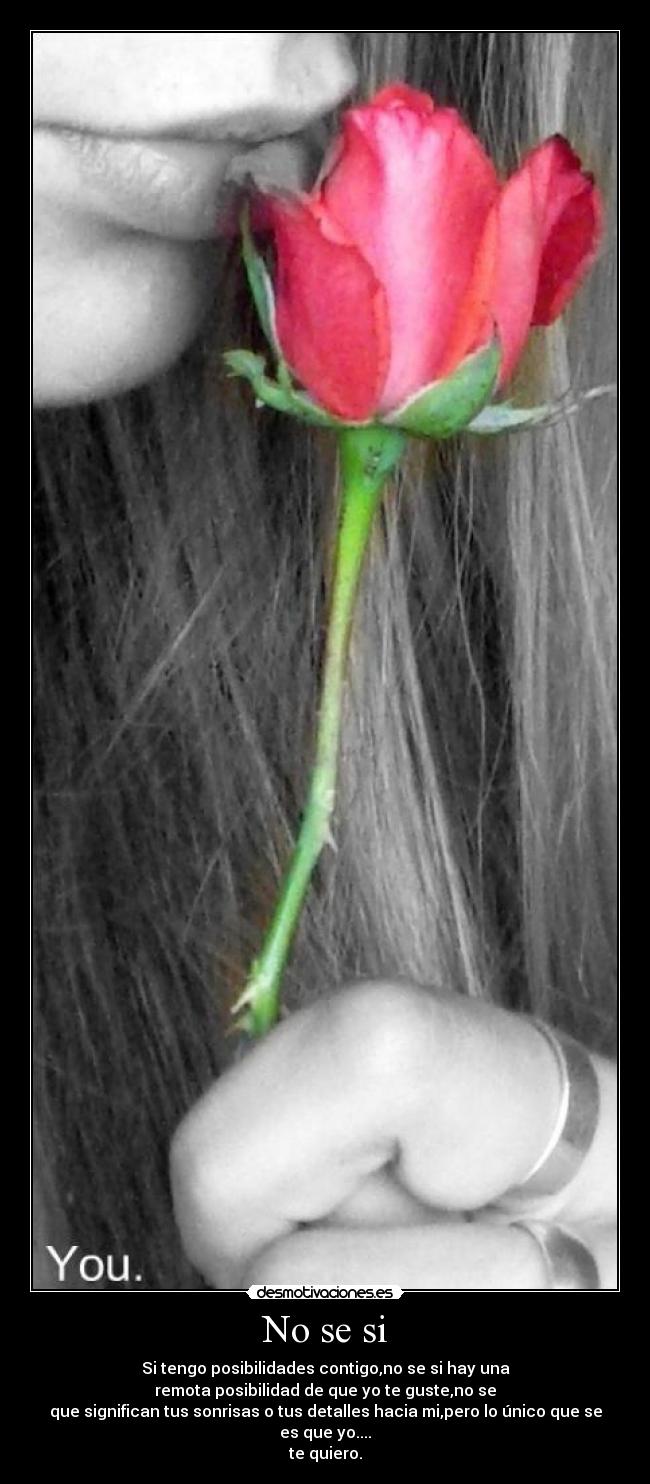 No se si - Si tengo posibilidades contigo,no se si hay una
remota posibilidad de que yo te guste,no se
que significan tus sonrisas o tus detalles hacia mi,pero lo único que se
es que yo....
te quiero.