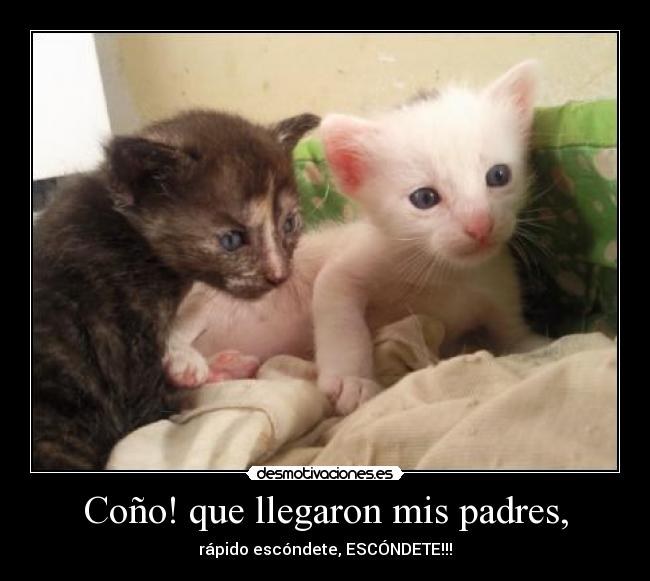 Coño! que llegaron mis padres, -