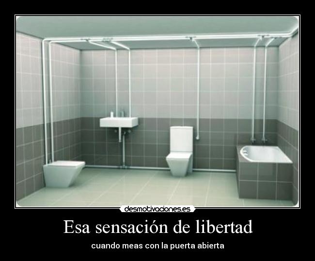 Esa sensación de libertad -