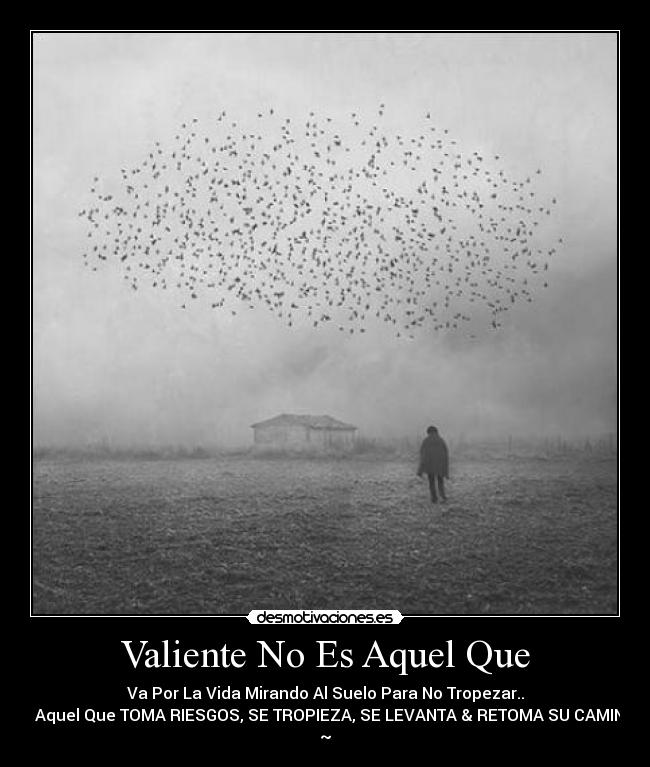 Valiente No Es Aquel Que - Va Por La Vida Mirando Al Suelo Para No Tropezar..
Es Aquel Que TOMA RIESGOS, SE TROPIEZA, SE LEVANTA & RETOMA SU CAMINO.
~