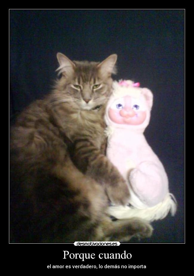 Porque cuando - el amor es verdadero, lo demás no importa 