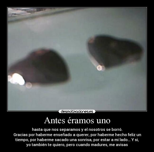 Antes éramos uno - hasta que nos separamos y el nosotros se borró.
Gracias por haberme enseñado a querer, por haberme hecho feliz un
tiempo, por haberme sacado una sonrisa, por estar a mi lado... Y si,
yo también te quiero, pero cuando madures, me avisas