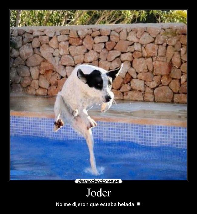 carteles memes humor risa chiste gracioso amor rock futbol desmotivaciones