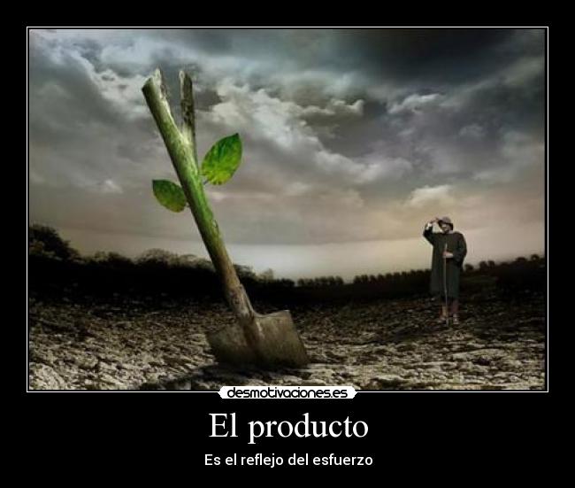 El producto - Es el reflejo del esfuerzo
