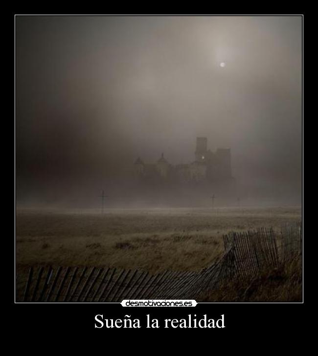 Sueña la realidad -