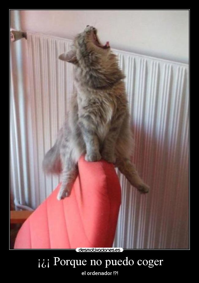 carteles antoniogachero desmotivaciones