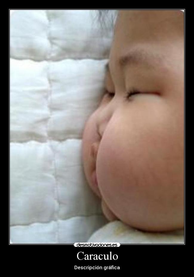 Caraculo - 