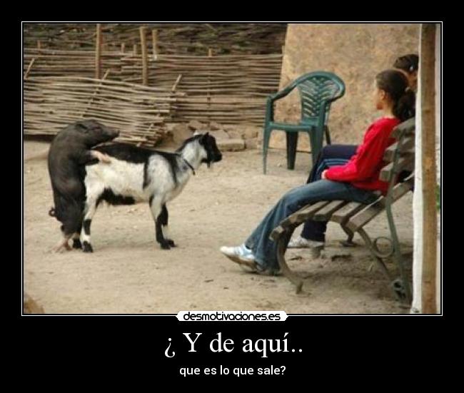 ¿ Y de aquí.. - 