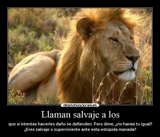 carteles tigre desmotivaciones