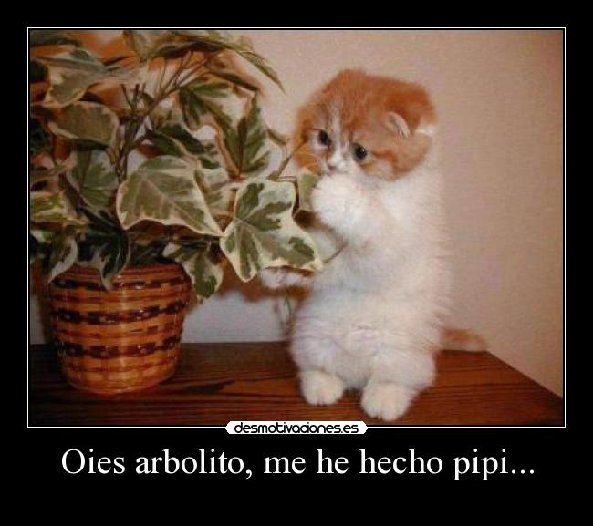 Oies arbolito, me he hecho pipi... -