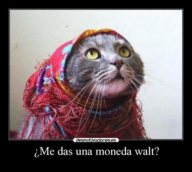 ¿Me das una moneda walt? -