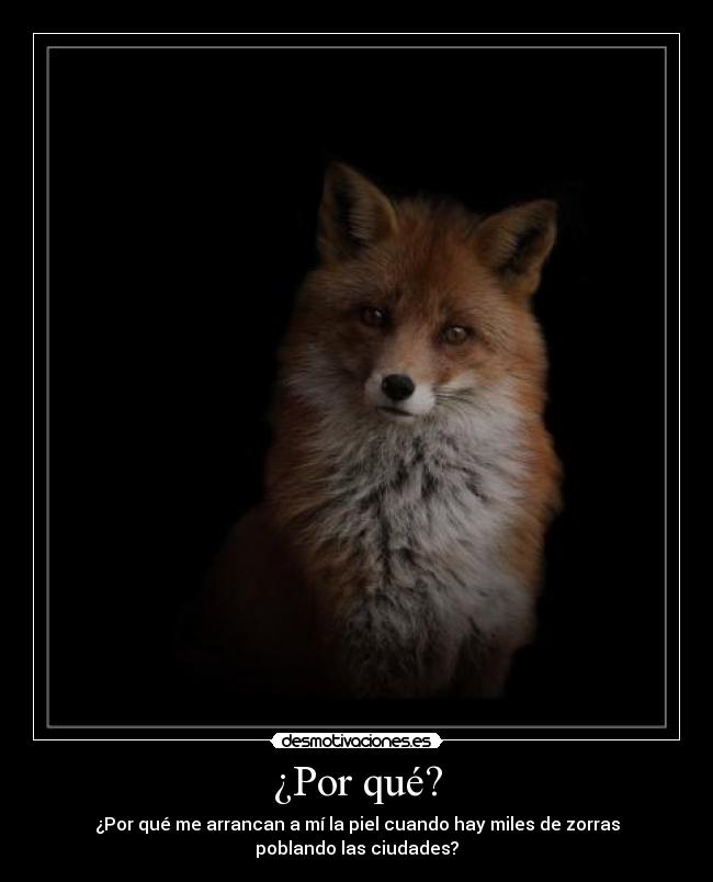 ¿Por qué? - ¿Por qué me arrancan a mí la piel cuando hay miles de zorras
poblando las ciudades?