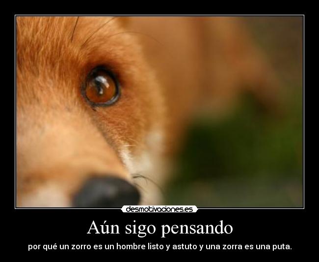 Aún sigo pensando - por qué un zorro es un hombre listo y astuto y una zorra es una puta.