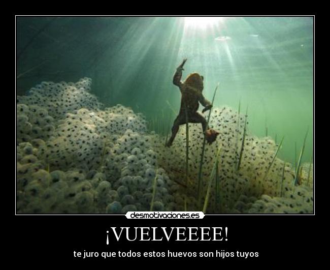 ¡VUELVEEEE! - 