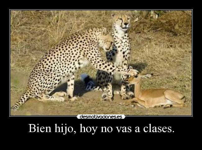 Bien hijo, hoy no vas a clases. - 