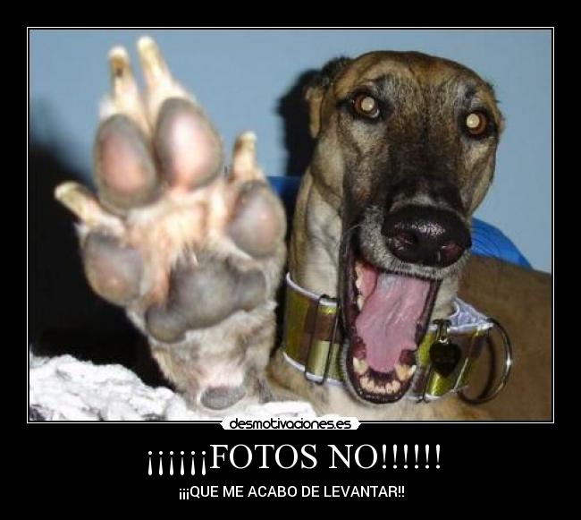 ¡¡¡¡¡¡FOTOS NO!!!!!! - 