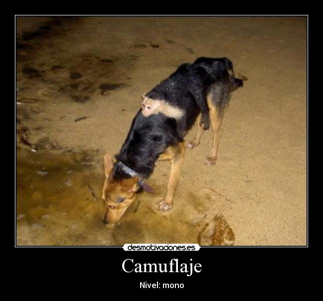 Camuflaje - Nivel: mono