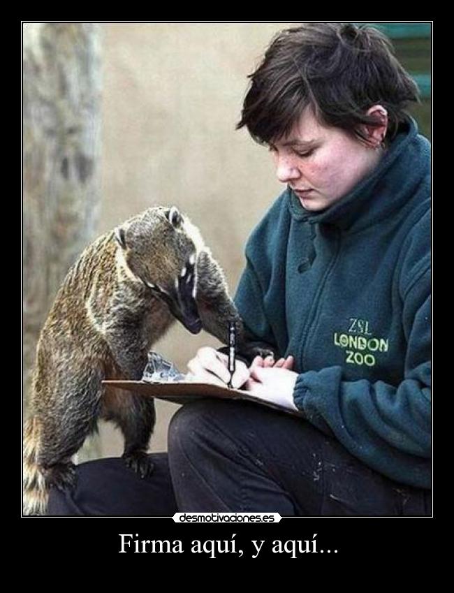 Firma aquí, y aquí... -