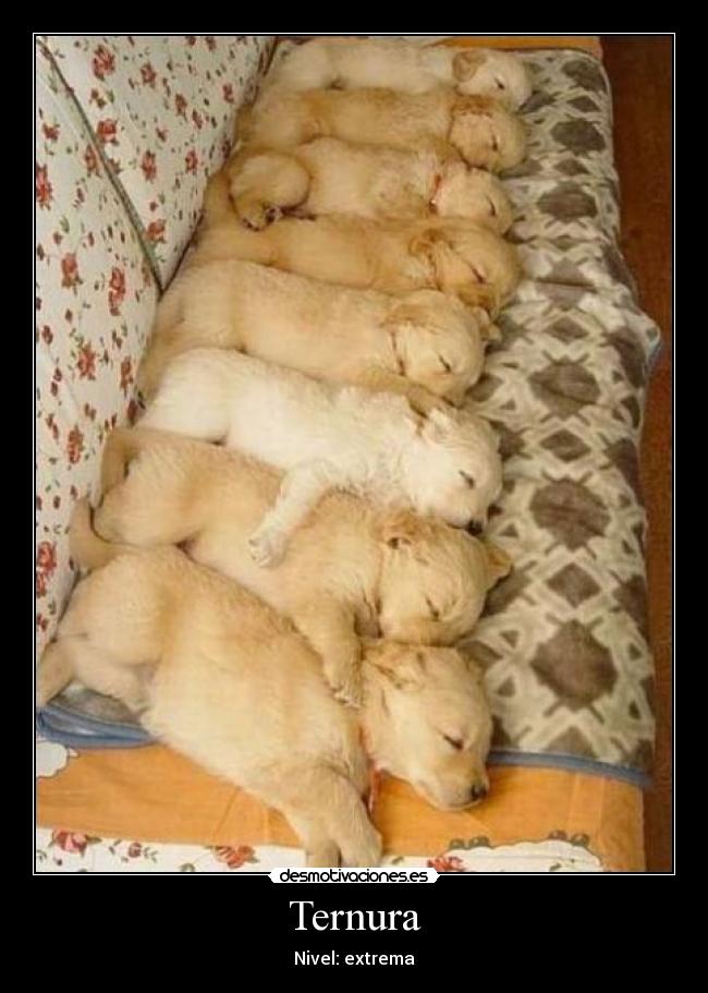 Ternura - Nivel: extrema