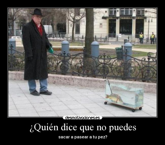 ¿Quién dice que no puedes - sacar a pasear a tu pez?