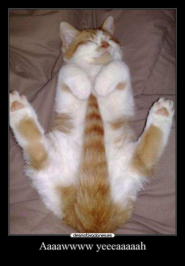 Aaaawwww yeeeaaaaah -