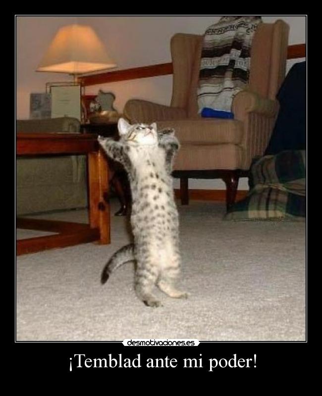 carteles temblad ante poder desmotivaciones