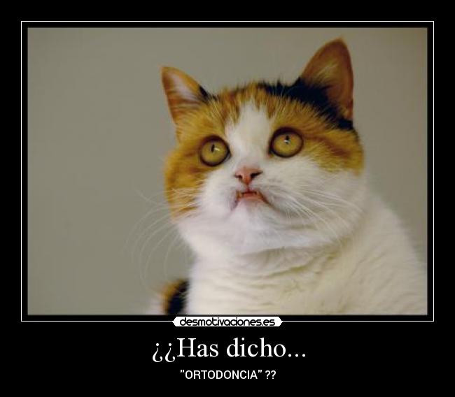 ¿¿Has dicho... - ORTODONCIA ??