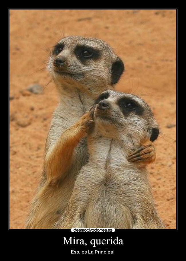 Mira, querida - Eso, es La Principal 