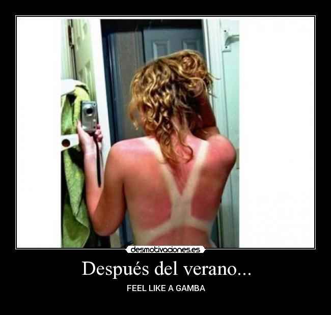 Después del verano... - FEEL LIKE A GAMBA