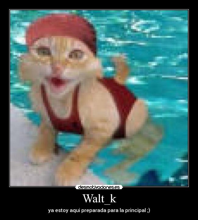 Walt_k -