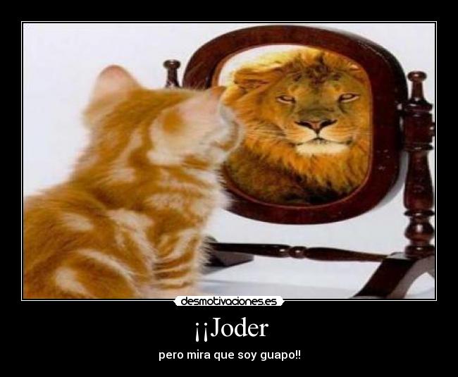 ¡¡Joder - 