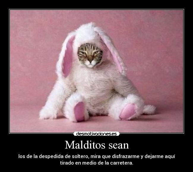 Malditos sean - los de la despedida de soltero, mira que disfrazarme y dejarme aquí
tirado en medio de la carretera.