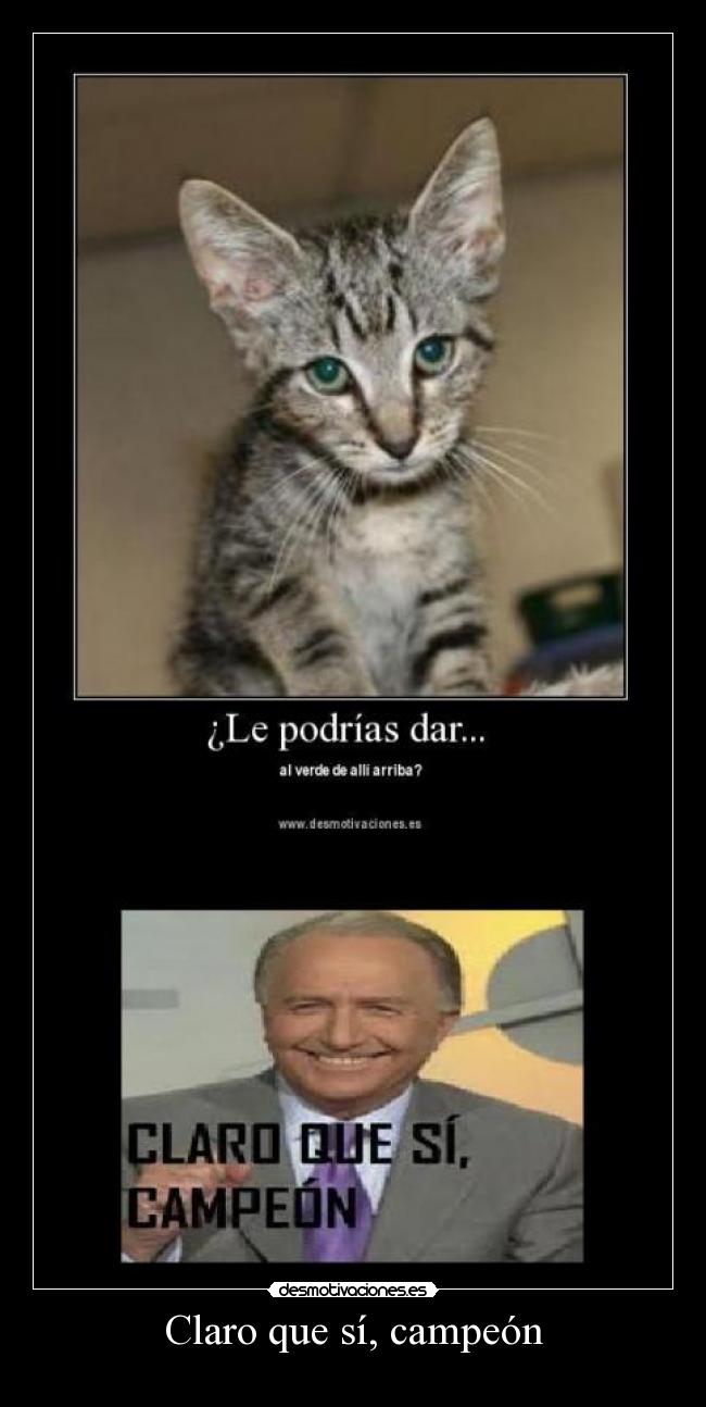 Claro que sí, campeón -