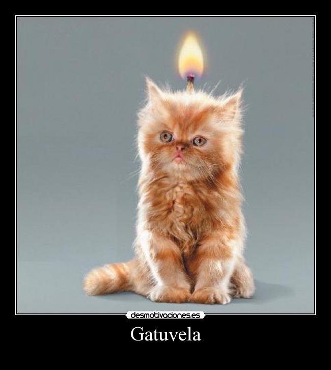 Gatuvela -