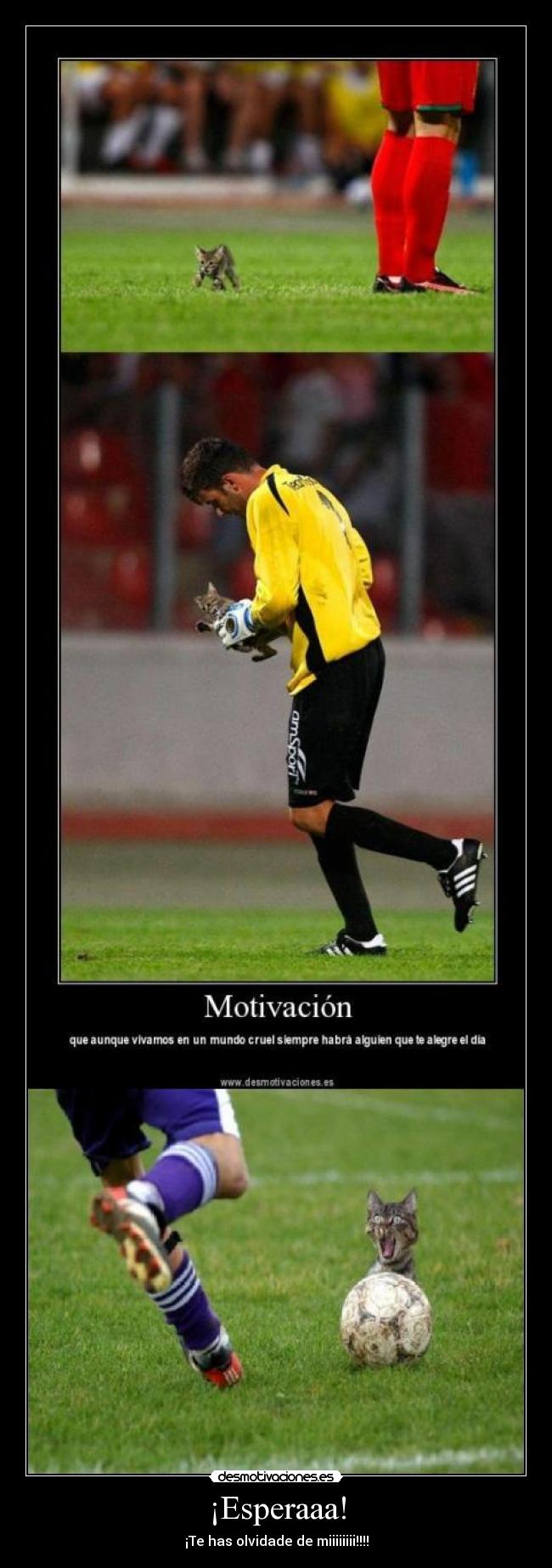 ¡Esperaaa! - ¡Te has olvidade de miiiiiiii!!!!