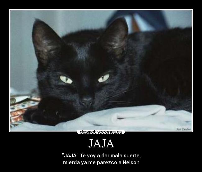 JAJA - JAJA Te voy a dar mala suerte,
mierda ya me parezco a Nelson