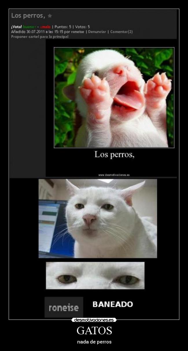 GATOS -