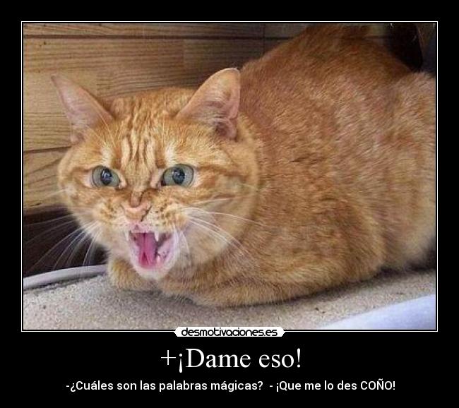 +¡Dame eso! - -¿Cuáles son las palabras mágicas? - ¡Que me lo des COÑO!
