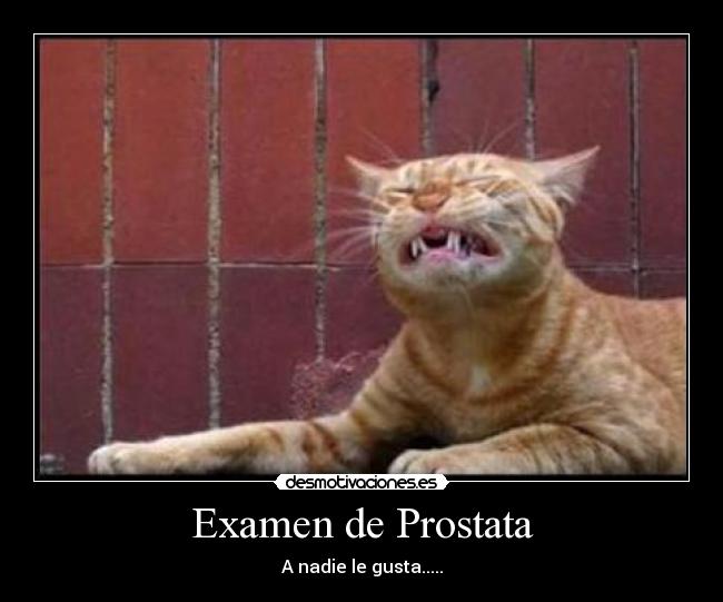 Examen de Prostata - A nadie le gusta.....