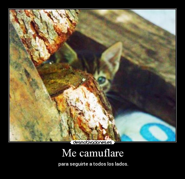 carteles alexa14 desmotivaciones