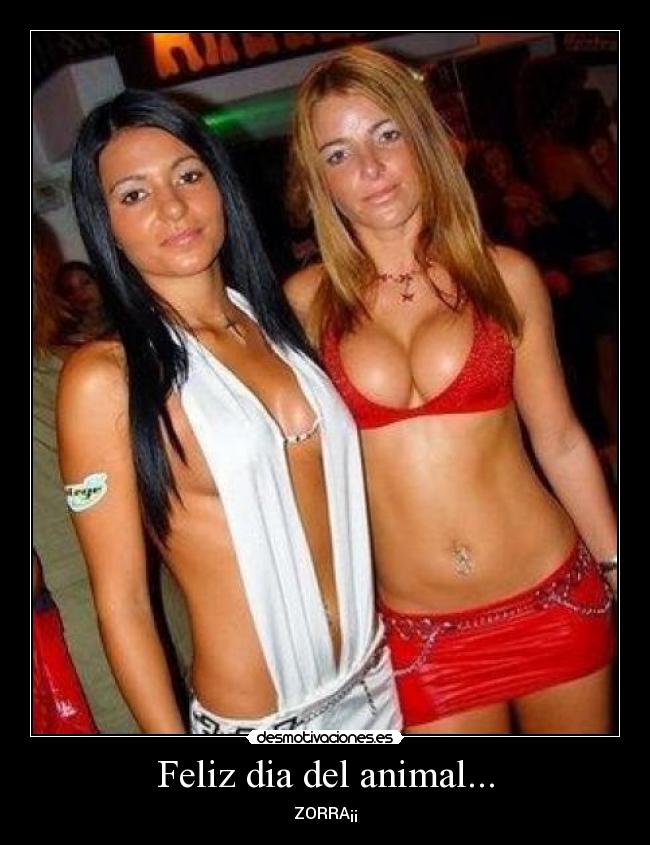 Feliz dia del animal... - ZORRA¡¡