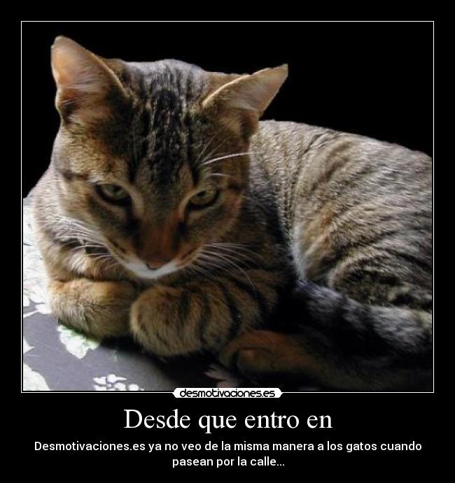 Desde que entro en -