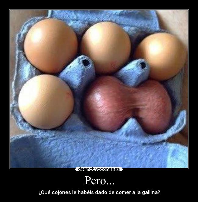 Pero... - ¿Qué cojones le habéis dado de comer a la gallina?