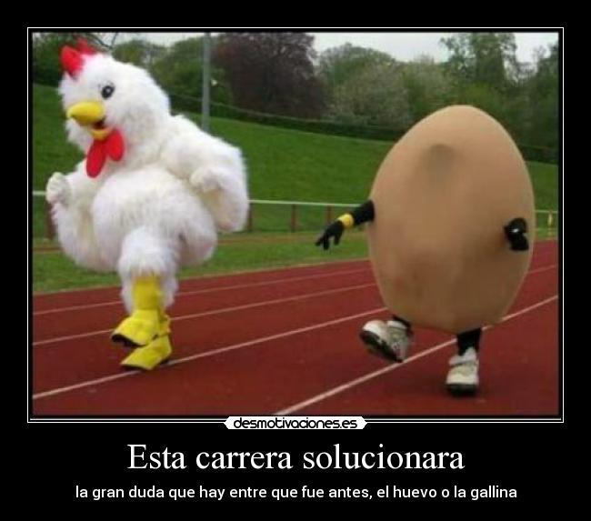 Esta carrera solucionara - la gran duda que hay entre que fue antes, el huevo o la gallina