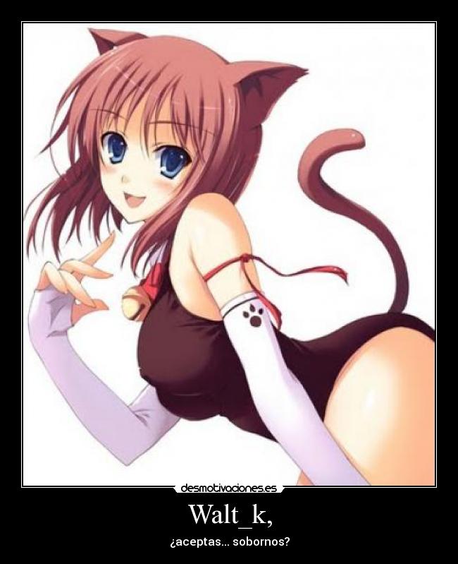 carteles catgirls desmotivaciones