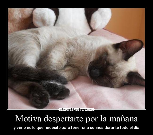 Motiva despertarte por la mañana - y verlo es lo que necesito para tener una sonrisa durante todo el día